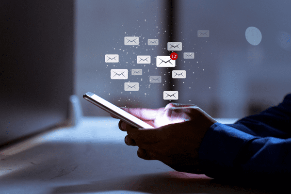 Delivery without portal intermediaries